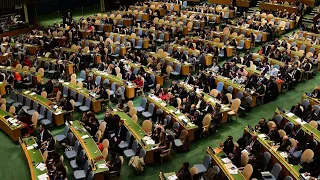 UN General Assembly holds emergency special session on 'State of Palestine': 2nd session