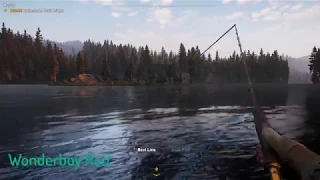 Fishing Rod Differences in Far Cry 5