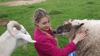 Actress Olga Solomakhina at The Rescue Ranch cuddling Arthur the flying sheep