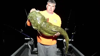 Targeting The Elusive Flathead Catfish