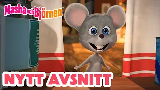 Masha och Björnen ✌️ Nytt avsnitt ✌️ 😺 Som Katt Och Råtta 🐭