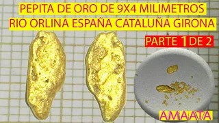 COMO BUSCAR ORO en RÍO 1 d 2 bellotitaypulguita