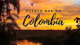 COLOMBIA'S MOST UNDERRATED TRAVEL DESTINATION (why you NEED to visit Puerto Nariño)