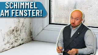 Achtung! Schimmel im Fenster | Energieberater erklärt warum | Was hilft?