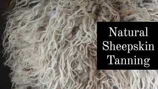Natural SHEEPSKIN Tanning
