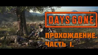 Прохождение DAYS GONE (ЖИЗНЬ ПОСЛЕ) / Часть 1. Прохождение без комментариев.