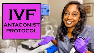 IVF ANTAGONIST PROTOCOL