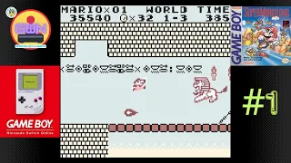 Super Mario Land for the Game boy on Nintendo switch online. Worlds 1 and 2.