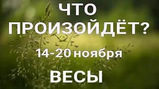 ВЕСЫ🍀 Прогноз на неделю (14--20 ноября). Расклад от ТАТЬЯНЫ КЛЕВЕР. Клевер таро.