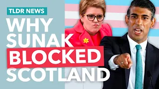 Why Westminster Blocked Scotland's Trans Bill