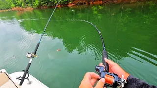 Using Live Bait to get Big Fish!!   (Backwoods Fishing)