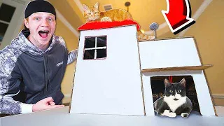 $5 CARDBOARD CAT MANSION DIY!