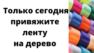 Только сегодня привяжите ленту на дерево на желание.