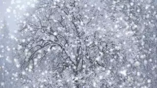 Ռուբեն Հախվերդյան - Ձյունը իր երգն է երգում