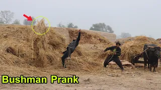 BEST OF 2022 BUSHMAN PRANK In Pakistan !! Top Reaction Bushman New Funniest Video Part 6 😀😀