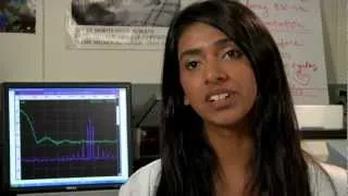 Pancreatic Cancer and Photodynamic Therapy -- Undergraduate Research at the College of Charleston