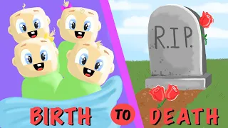 BIRTH to DEATH of Quadruplets ( Roblox Brookhaven RP )