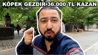 KÖPEK GEZDİREREK PARA KAZANMAK #shorts