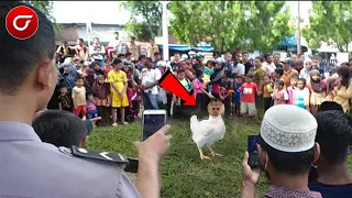 Penangkapan Ayam Berkepala Monyet Gegerkan Warga Sekampung. Ternyata Itu Adalah....