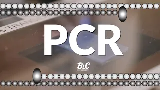 Polymerase Chain Reaction (PCR) & Gel Electrophoresis