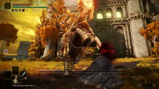 DRACONIC TREE SENTINEL - NO HIT, No Stagger, NO Summon, NO Parry - (Claw only)