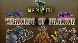 ALL Mounts Warlords of Draenor