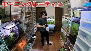 170匹の生物を飼う会社員のモーニングルーティン