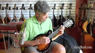 Rover RM-75 Mandolin played by Brian Hall