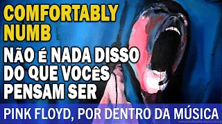 ROGER WATERS E COMFORTABLY NUMB | #MeuVinilPerido 172