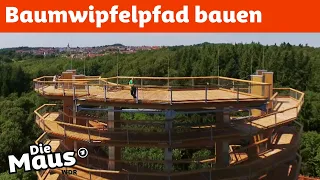 Spazieren zwischen Baumkronen  - So wird ein Baumwipfelpfad gebaut | DieMaus | WDR