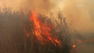 3 Alarm Vegetation Fire Erupts in Riverside