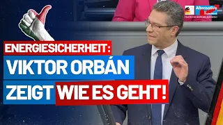 Energiesicherheit für die Bürger: Orbán zeigt wie es geht! Wolfgang Wiehle - AfD-Fraktion Bundestag