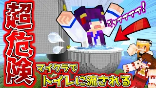 【Minecraft】えぇ！？マイクラでトイレに流される！？マインクラフトにはマジで危険なトイレがあった！！【ゆっくり実況】【マインクラフトmod紹介】