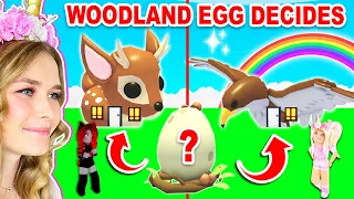 WOODLAND EGG DECIDES What We BUILD In Adopt Me! (Roblox)