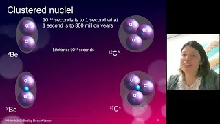 The amazing world of nuclei...from the Hoyle state to nuclear molecules