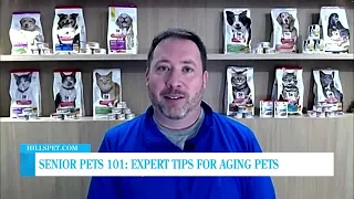 Senior Pets 101: Expert Tips for Aging Pets