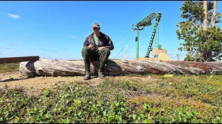 Saariselkä päiväretkeily. Urho Kekkosen Kansallispuisto, Pietarinvaara