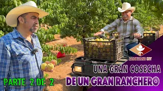 UNA OPCIÓN MUY BUENA PARA EL RANCHERO la producción de durazno