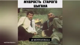 - МУДРОСТЬ СТАРОГО ЦЫГАНА !