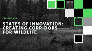 States of Innovation: Creating Corridors for Wildlife