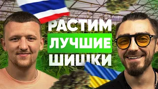 ИСКУССТВО ГРОВИНГА. БИЗНЕС В ТАИЛАНДЕ. КАК ПОДАРИТЬ МИРУ ЛУЧШИЕ ШИШКИ?