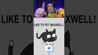 POV: You made Maxwell The Cat Sad😢 #maxwellcat #maxwellthecat