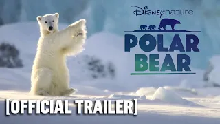 Polar Bear - Official Disneynature Trailer