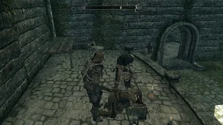 Player execution test (Skyrim)