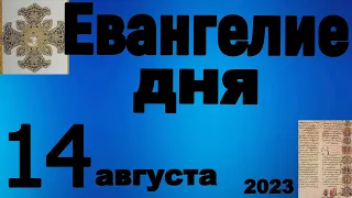 Включи прямо сейчас!  Евангелие дня 14 августа  2023 года