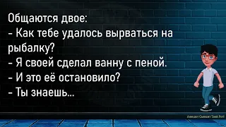 💎Идут Две Собаки Мимо Магазина...Большой Сборник Смешных Анекдотов,Для Супер Настроения!