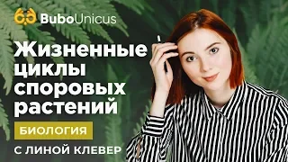 ЖИЗНЕННЫЕ ЦИКЛЫ СПОРОВЫХ РАСТЕНИЙ | Биология ЕГЭ | Лина Клевер