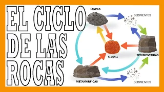 ✅✅✅¿Qué es el CICLO DE LAS ROCAS?✅✅✅