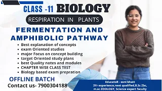 FERMENTATION AND AMPHIBOLIC PATHWAY|| RESPIRATION IN PLANTS || CLASS 11 BIOLOGY || CBSE BOARD ||