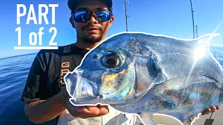 BIG Cobia, African Pompano {Commercial Fishing Florida}